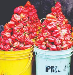 Bulk Foodstuffs for OurEstates...